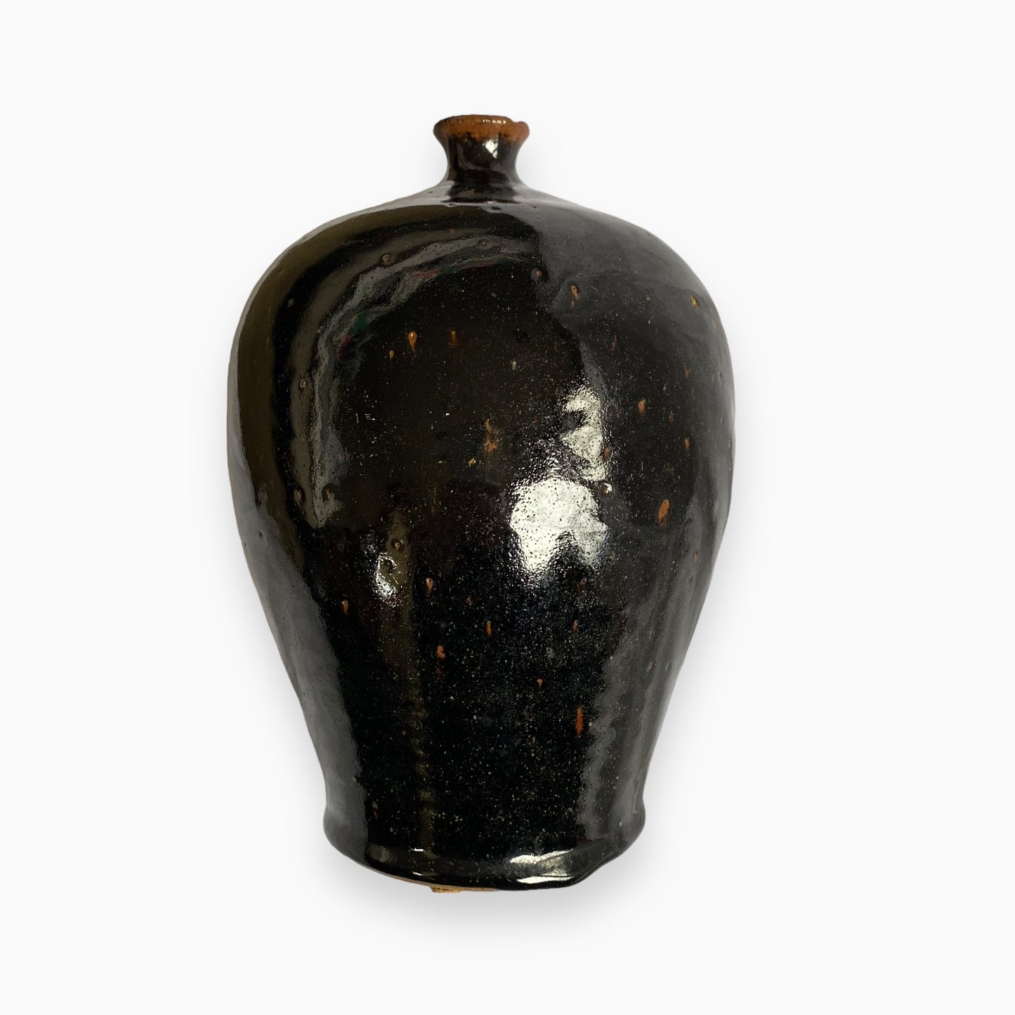 Black Floral Vase