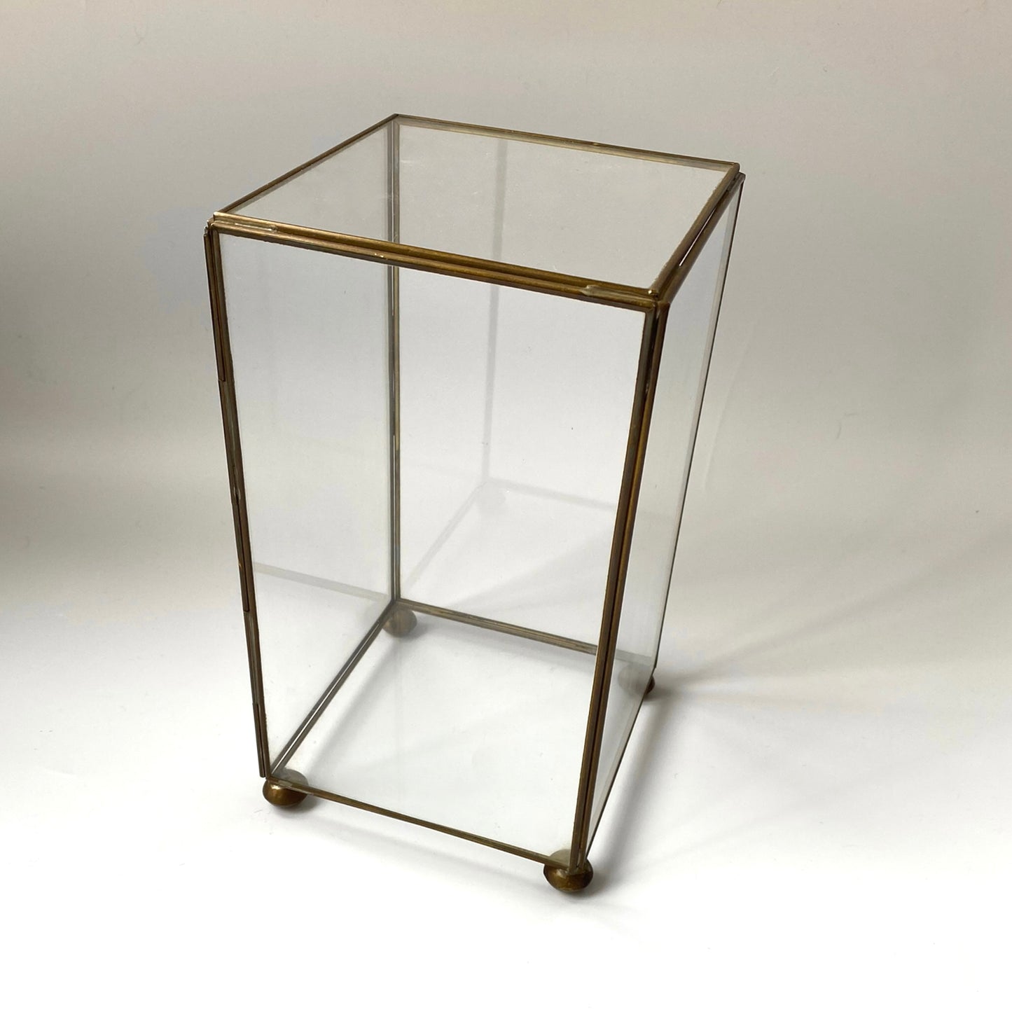 CURIO DISPLAY BOX