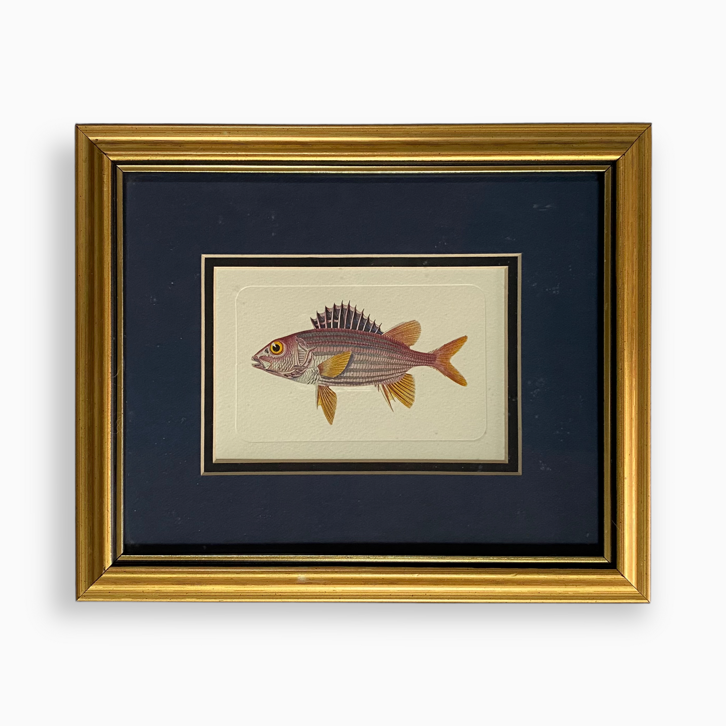 RED FISH PRINT