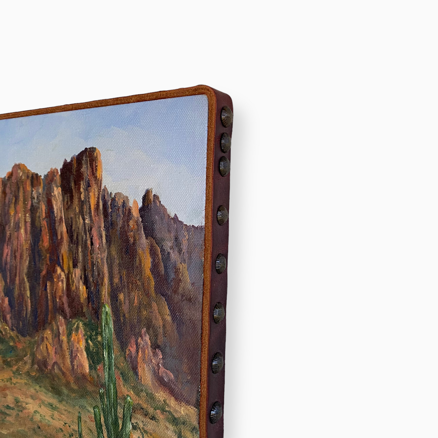 ARIZONA DESERT LANDSCAPE