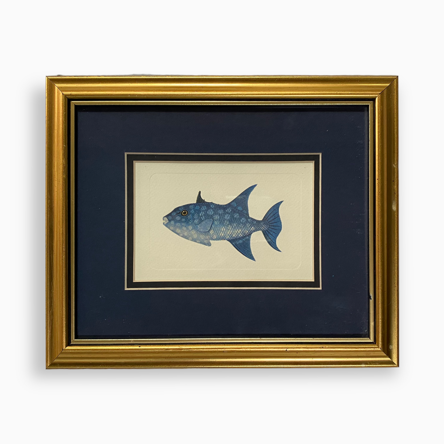 BLUE FISH PRINT