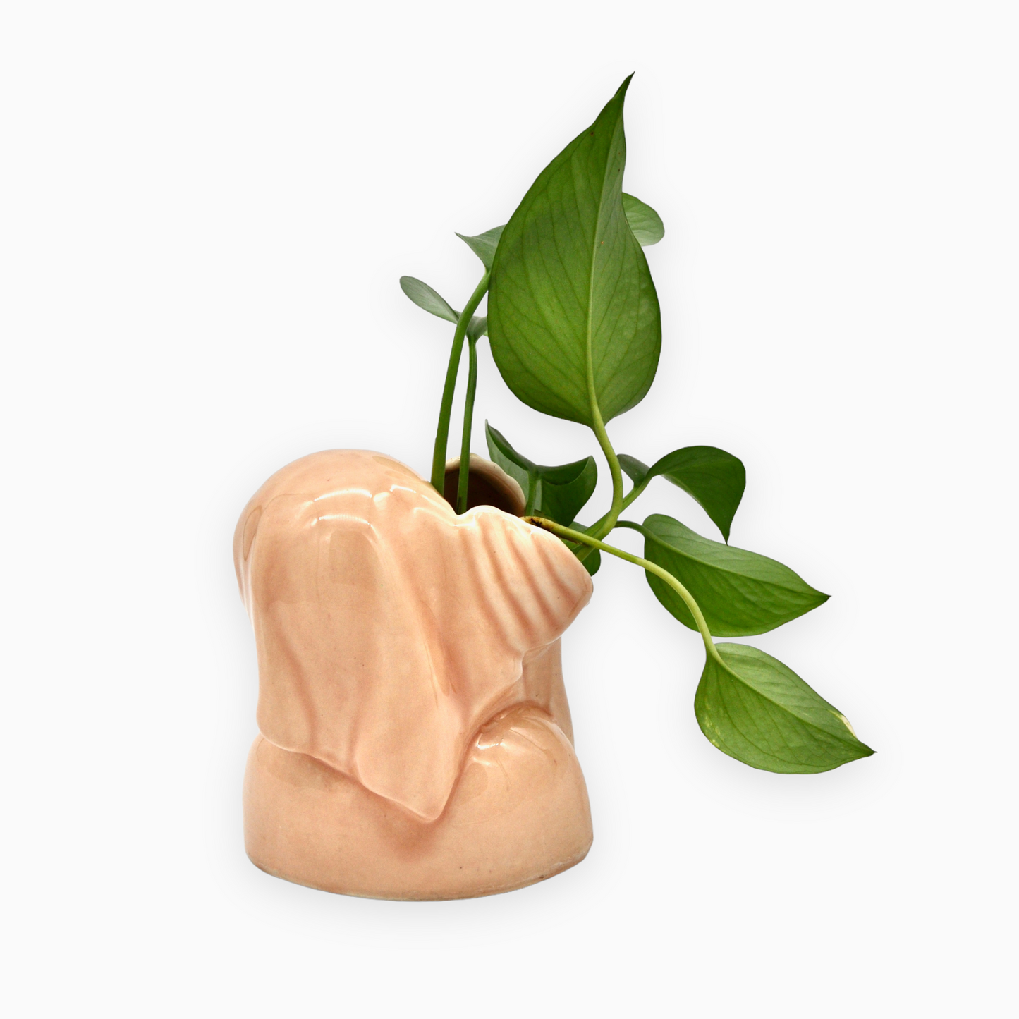 CERAMIC HEAD VASE