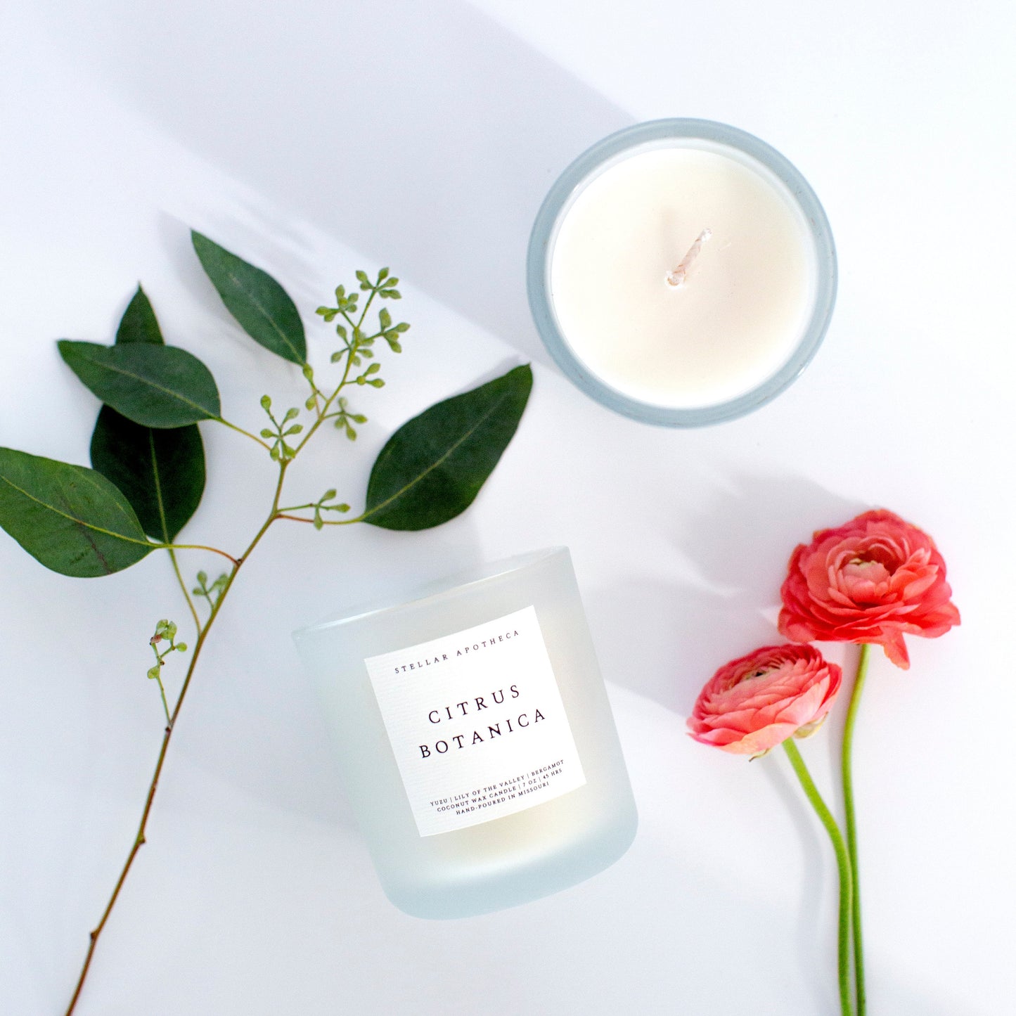 STELLAR APOTHECA CITRUS BOTANICA CLASSIC CANDLE