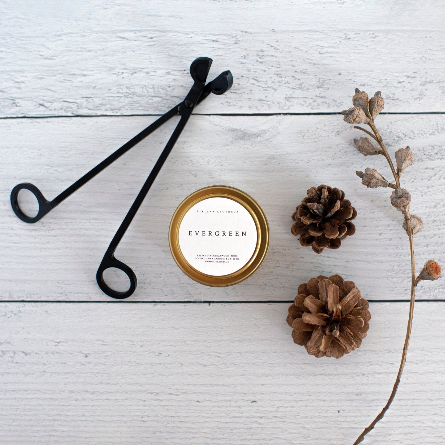 STELLAR APOTHECA EVERGREEN TRAVEL TIN