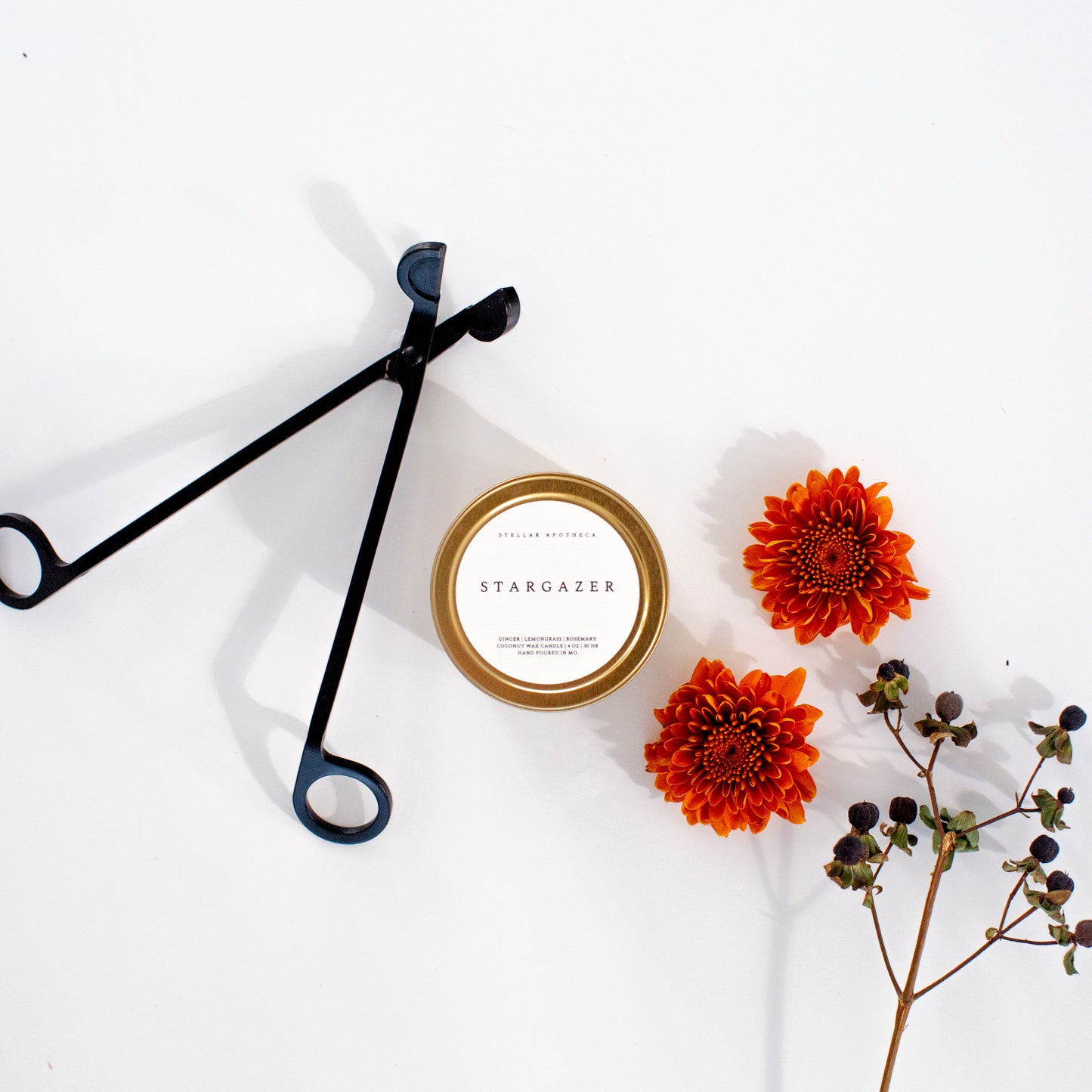 STELLAR APOTHECA STARGAZER TRAVEL TIN
