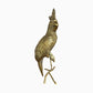 Vintage brass perched cockatoo statue