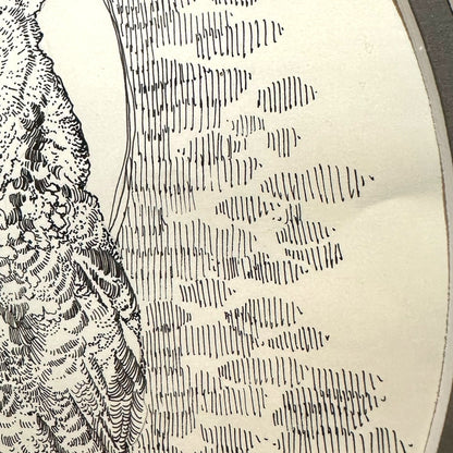 Vintage Framed Owl Pointillism Pen and Ink Drawing Sketch