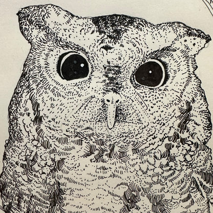 Vintage Framed Owl Pointillism Pen and Ink Drawing Sketch