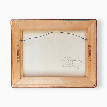 ARIZONA DESERT LANDSCAPE