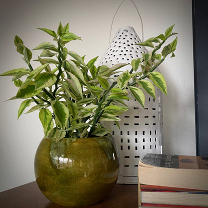 MID-MOD GREEN PLANTER