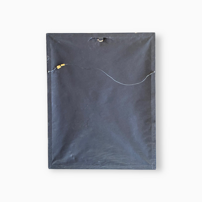 SIAMESE CAT PORTRAIT