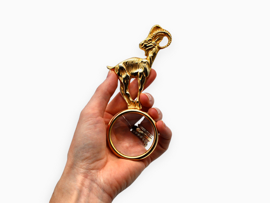 RAM MAGNIFYING GLASS