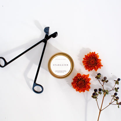 STELLAR APOTHECA STARGAZER TRAVEL TIN